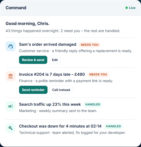 PulseSteer example overview showing a customer reply and invoice reminder ready for approval, a marketing update and a website alert